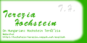 terezia hochstein business card